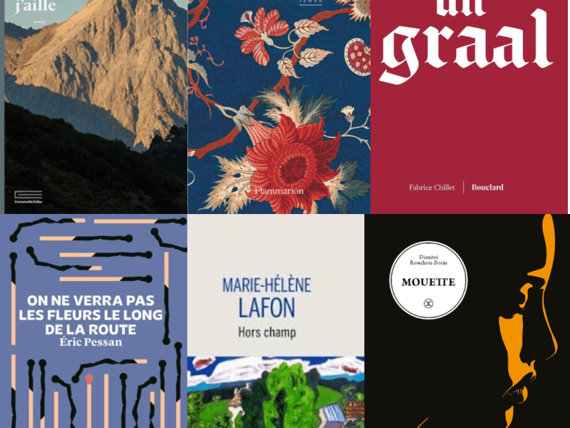 La rentrée littéraire d&rsquo;hiver&nbsp;2026