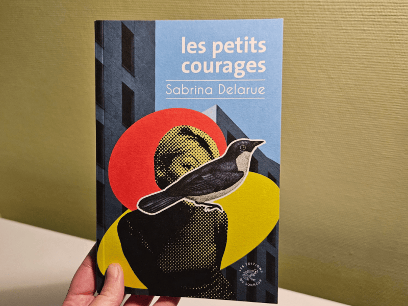 Les petits courages / Sabrina&nbsp;Delarue